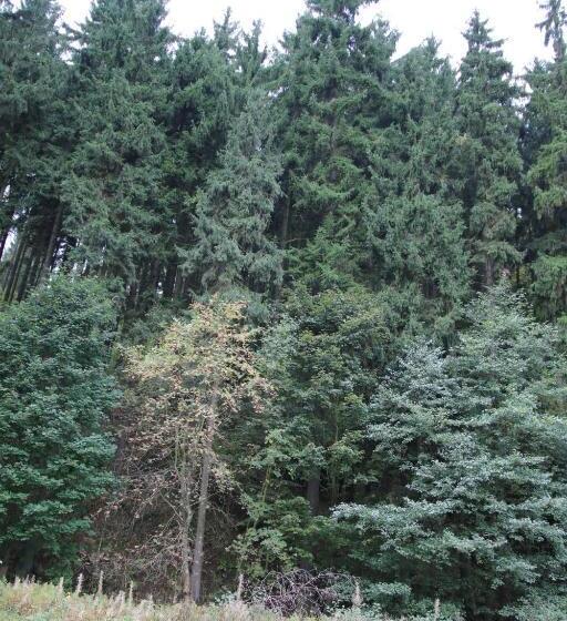 Bed and Breakfast Penzion Valovi