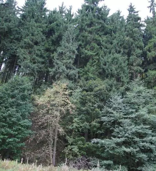 Aamiaismajoitus (B&B) Penzion Valovi