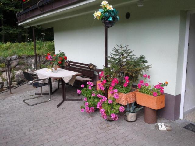 Bed and Breakfast Penzion Valovi