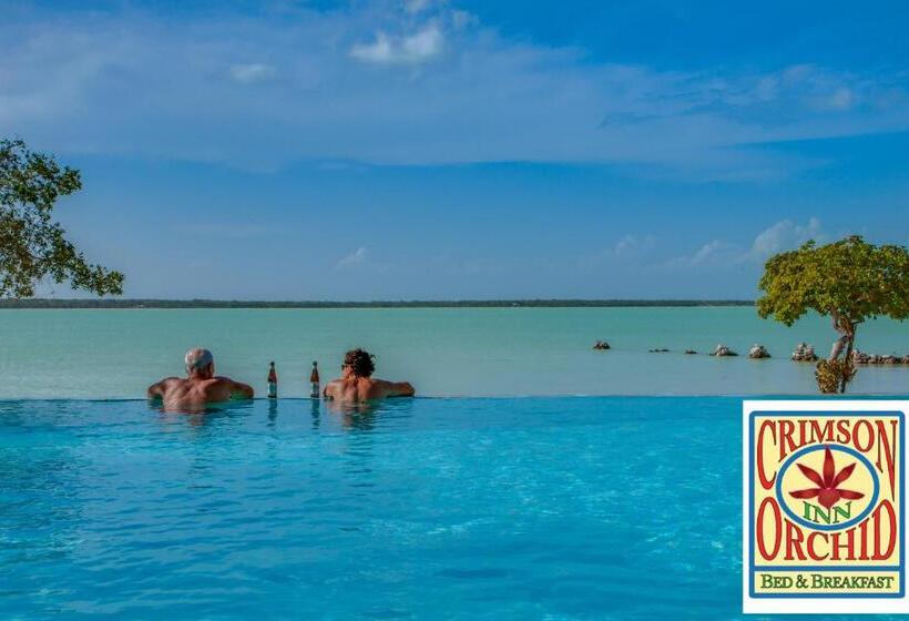 تختخواب و صبحانه The Crimson Orchid Inn At Orchid Bay