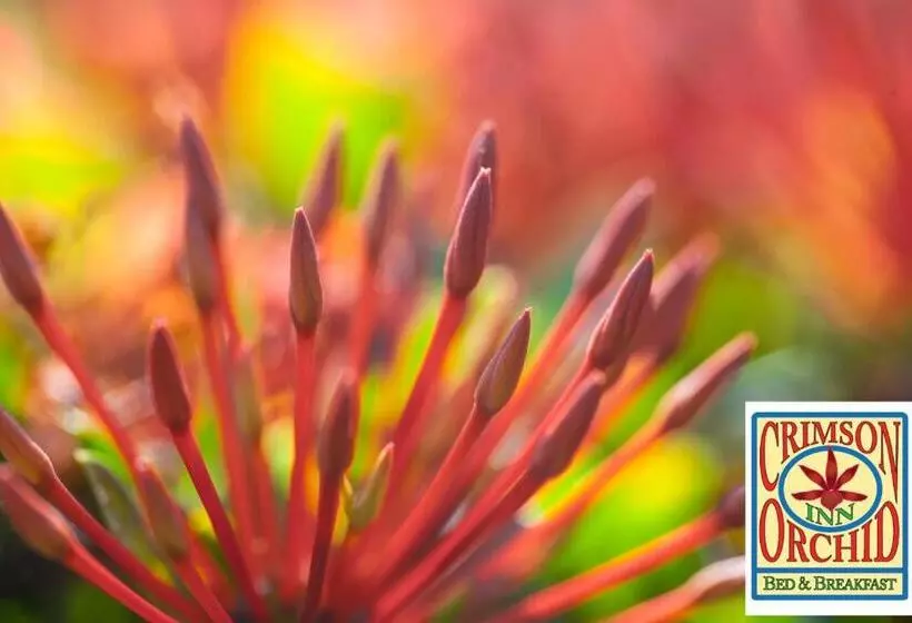 Aamiaismajoitus (B&B) The Crimson Orchid Inn At Orchid Bay