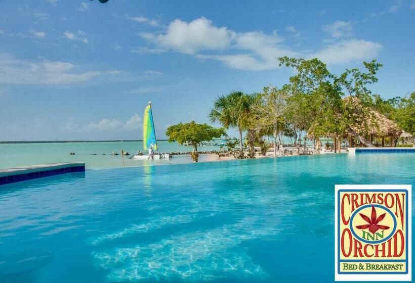 تختخواب و صبحانه The Crimson Orchid Inn At Orchid Bay