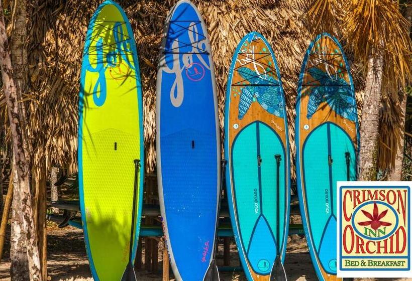 تختخواب و صبحانه The Crimson Orchid Inn At Orchid Bay