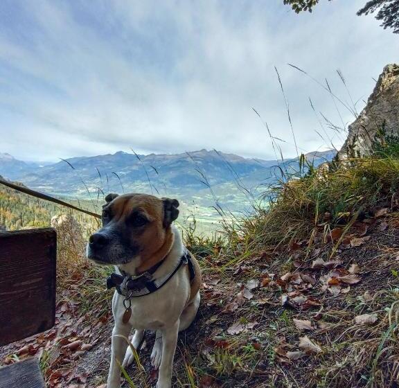 Frühstückspension Lemberger