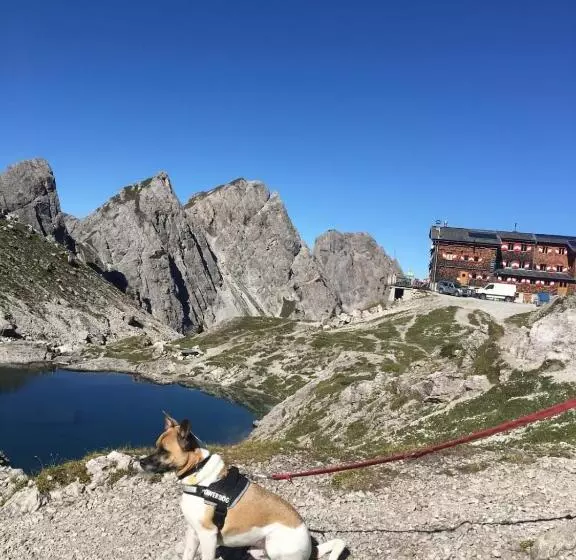 Frühstückspension Lemberger