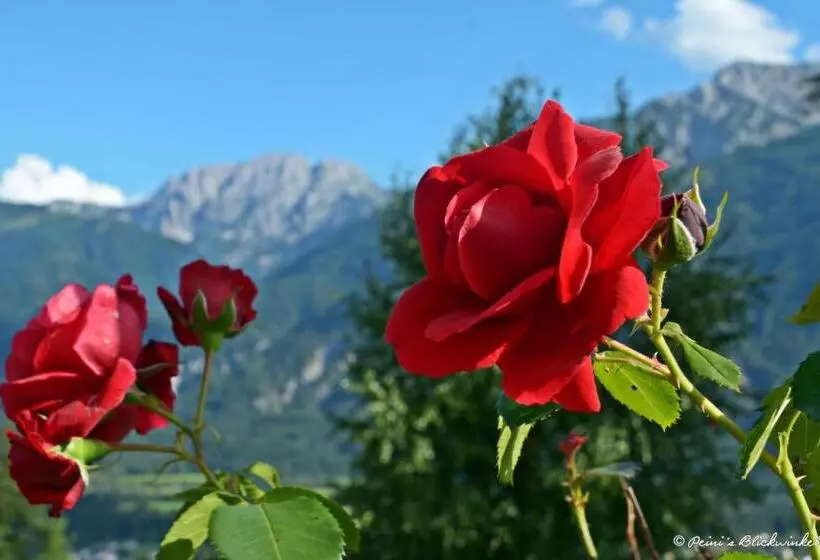 Frühstückspension Lemberger