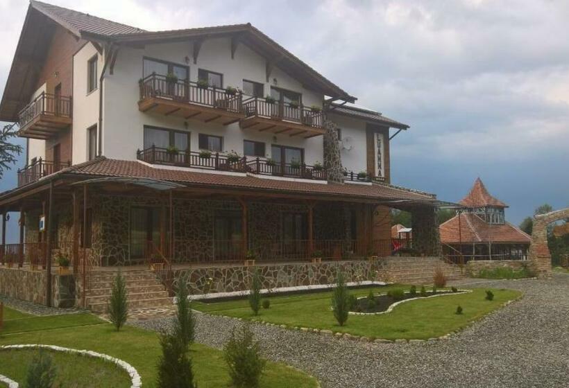 Отель Pensiunea Casa Luanna