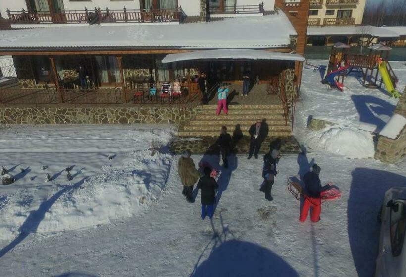 Отель Pensiunea Casa Luanna