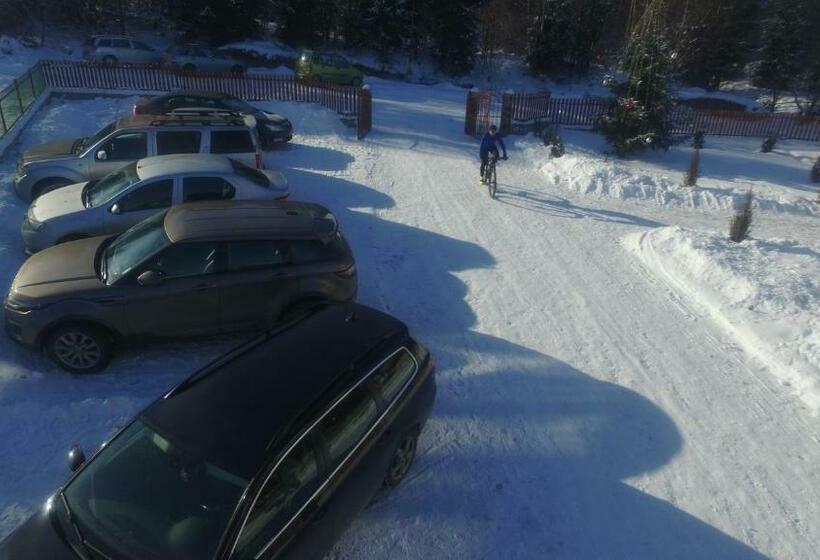 Отель Pensiunea Casa Luanna