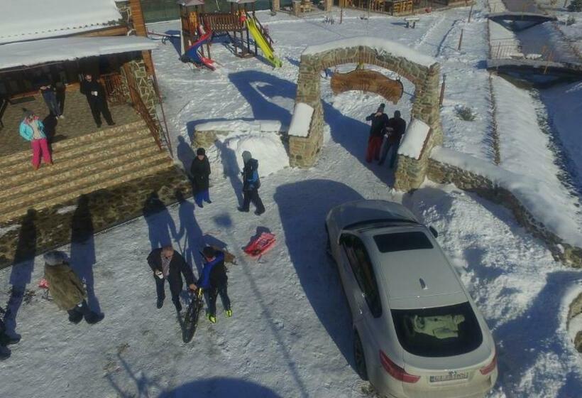 Отель Pensiunea Casa Luanna