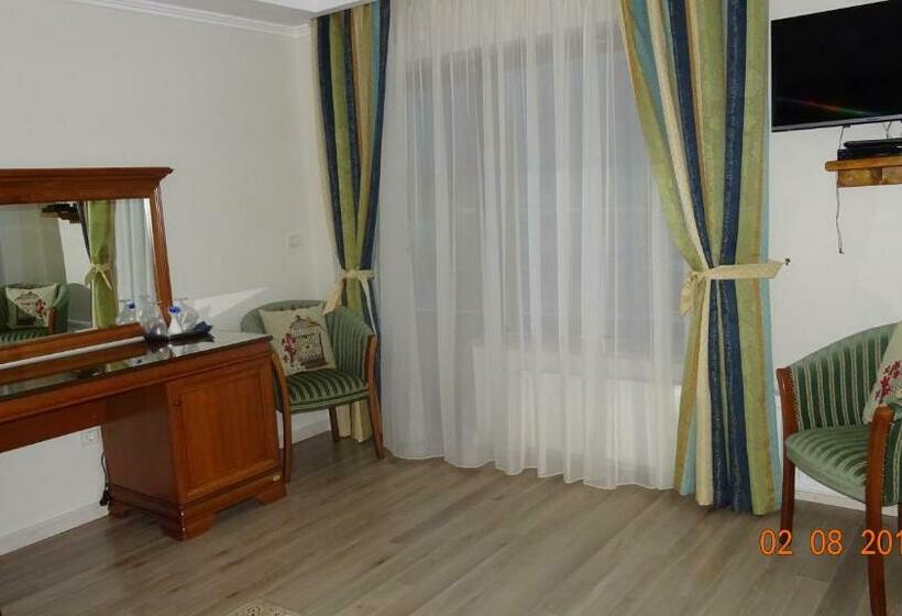 Отель Pensiunea Casa Luanna