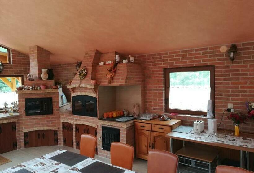 ホテル Pensiunea Colt Alb