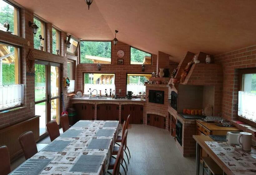 ホテル Pensiunea Colt Alb