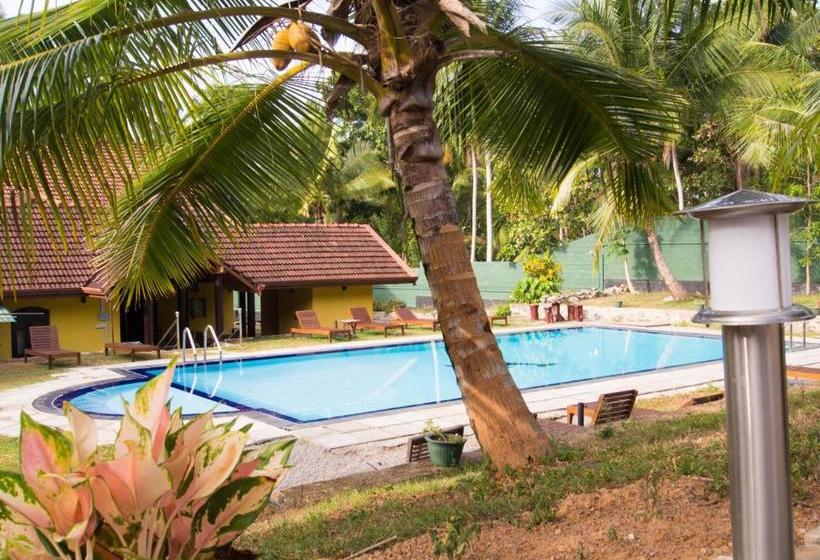 Hotel Resort Like No Other