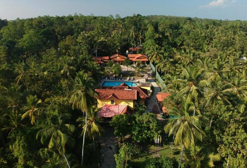 Hotel Resort Like No Other