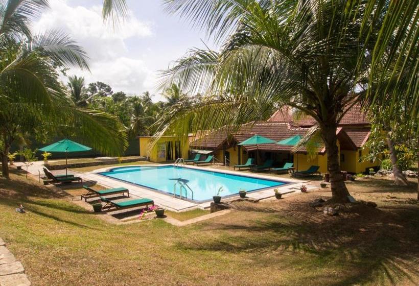 Hotel Resort Like No Other