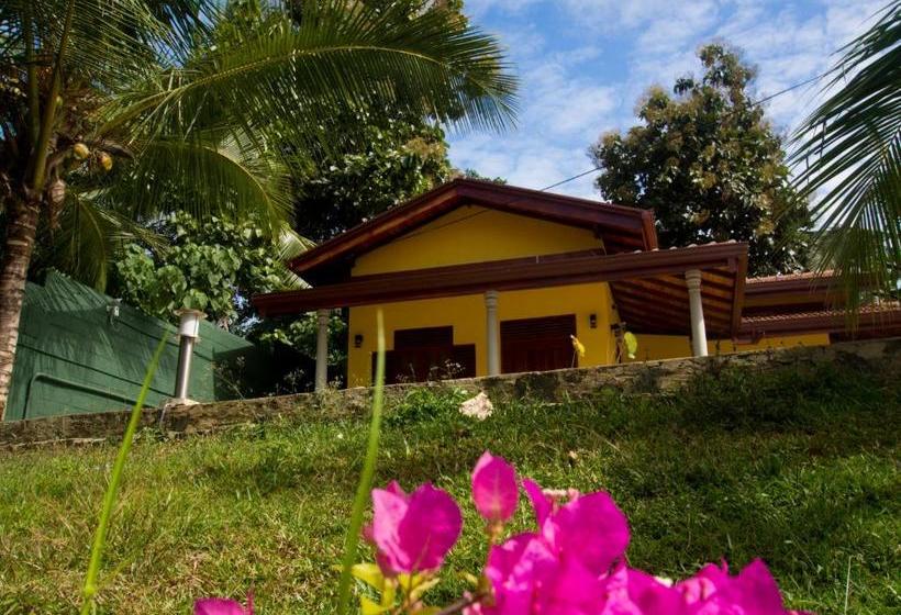 Hotel Resort Like No Other