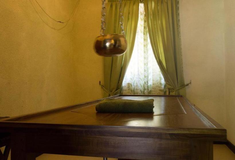 Hotel Resort Like No Other