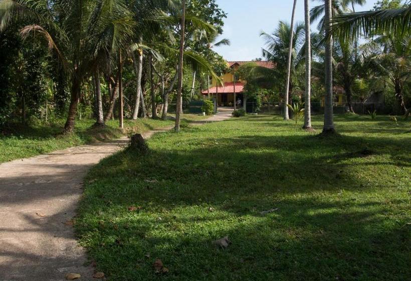 Hotel Resort Like No Other