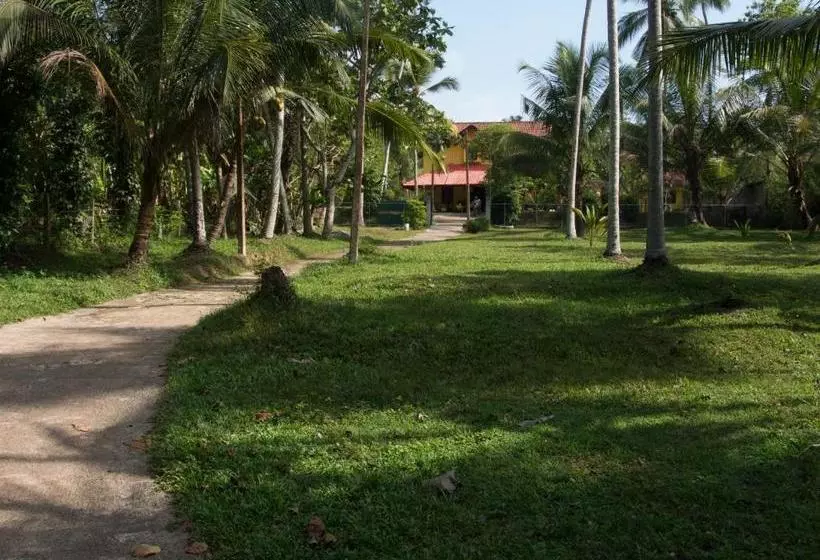 ホテル Resort Like No Other