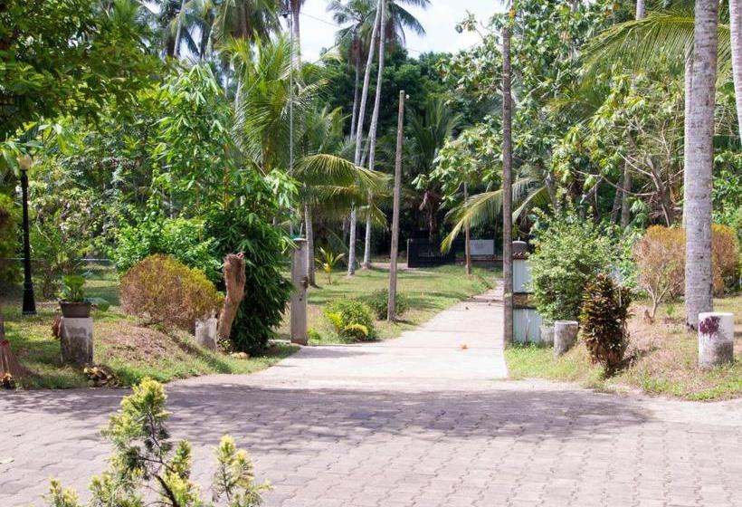 Hotel Resort Like No Other