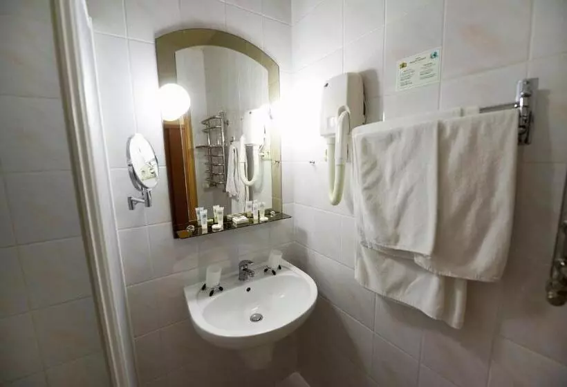 ホテル Zoloto Karpat