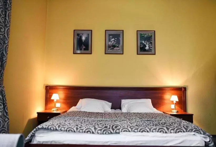 ホテル Zoloto Karpat