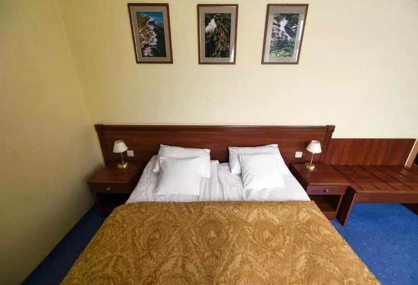 ホテル Zoloto Karpat