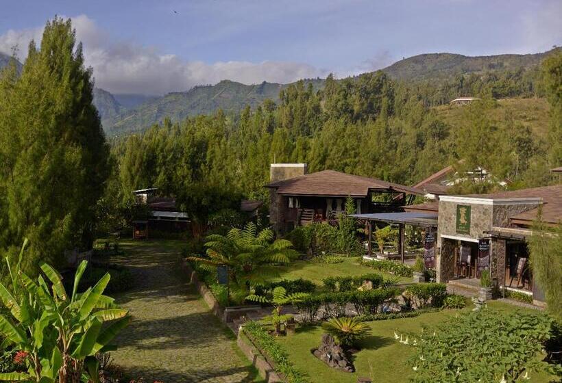 Jiwa Jawa Resort Bromo