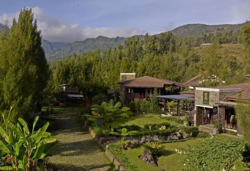 Jiwa Jawa Resort Bromo