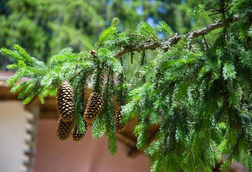 Pensão ивелия къща за гости