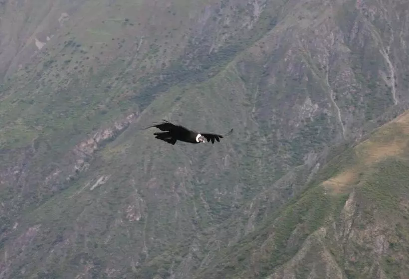 Majatalo Andean Spirit Lodge