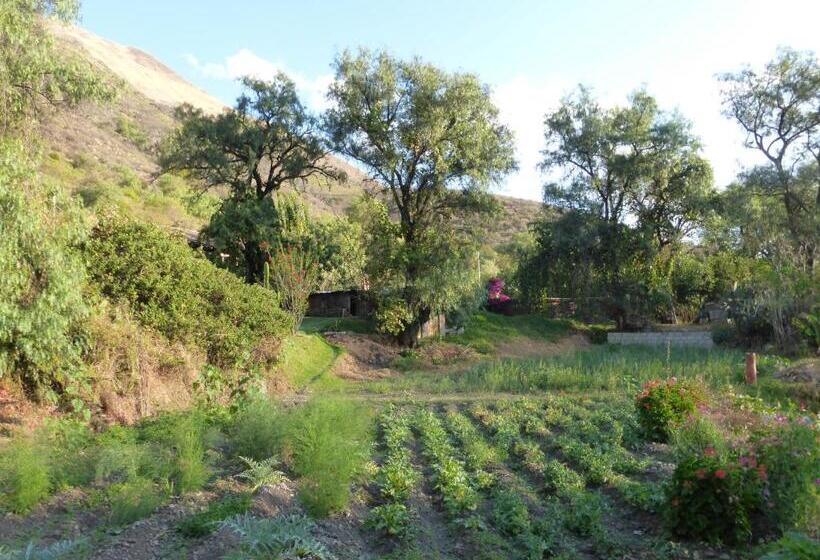 بنسيون Andean Spirit Lodge