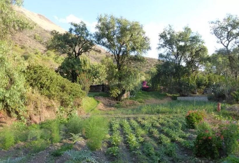 Majatalo Andean Spirit Lodge