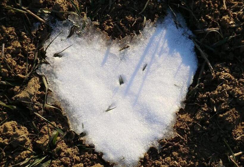 Пансион Bed & More Pogányvár