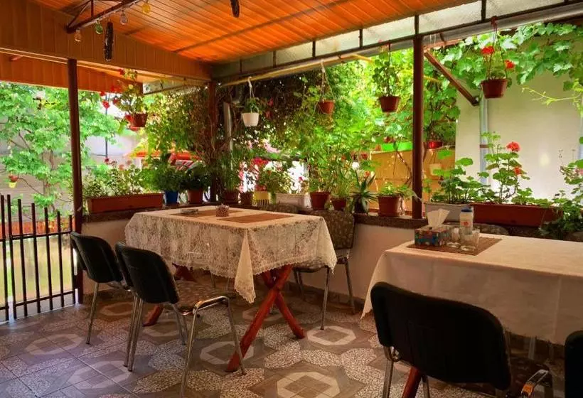 ペンション Casa Mary