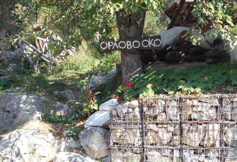 ペンション Guest House Kamenik