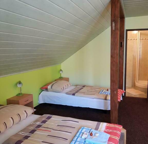 بنسيون Guest House Pod Lesem Merklín