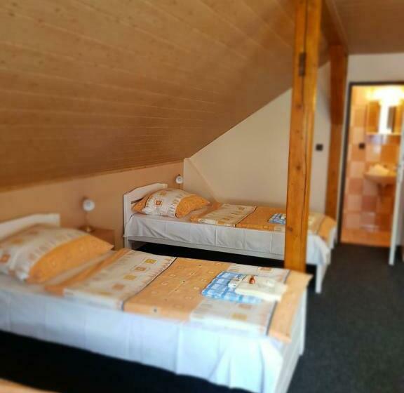 بنسيون Guest House Pod Lesem Merklín