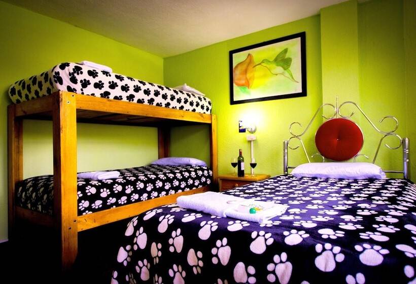 بنسيون Mirador Oro Verde Quilotoa