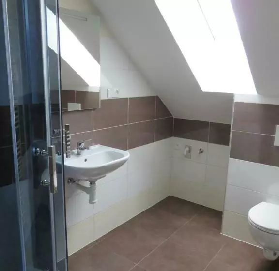 پانسیون Penzion U Dulíka