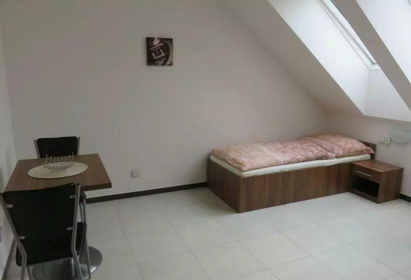 پانسیون Penzion U Dulíka