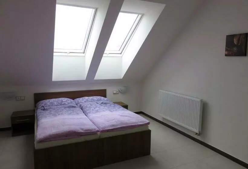 پانسیون Penzion U Dulíka