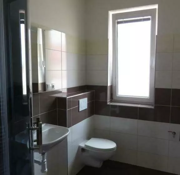 پانسیون Penzion U Dulíka