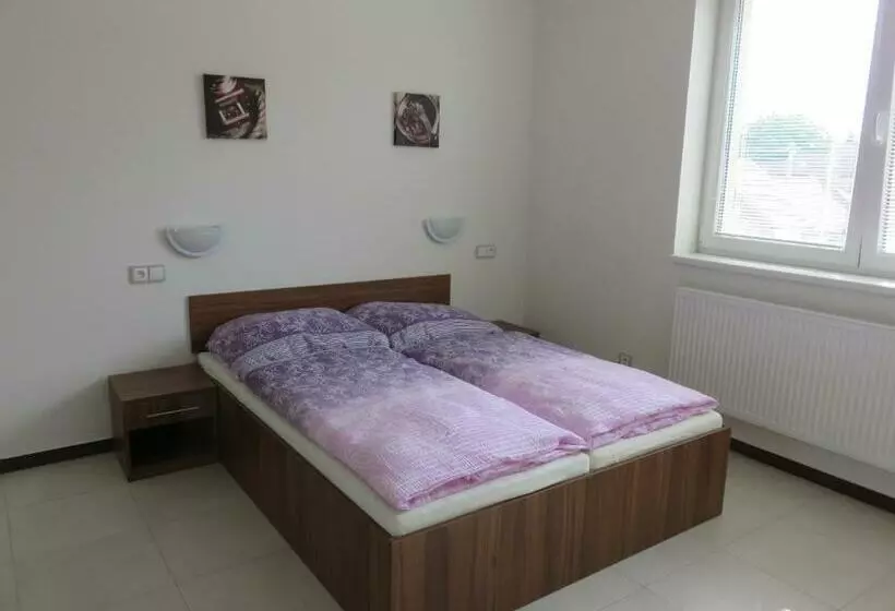 پانسیون Penzion U Dulíka