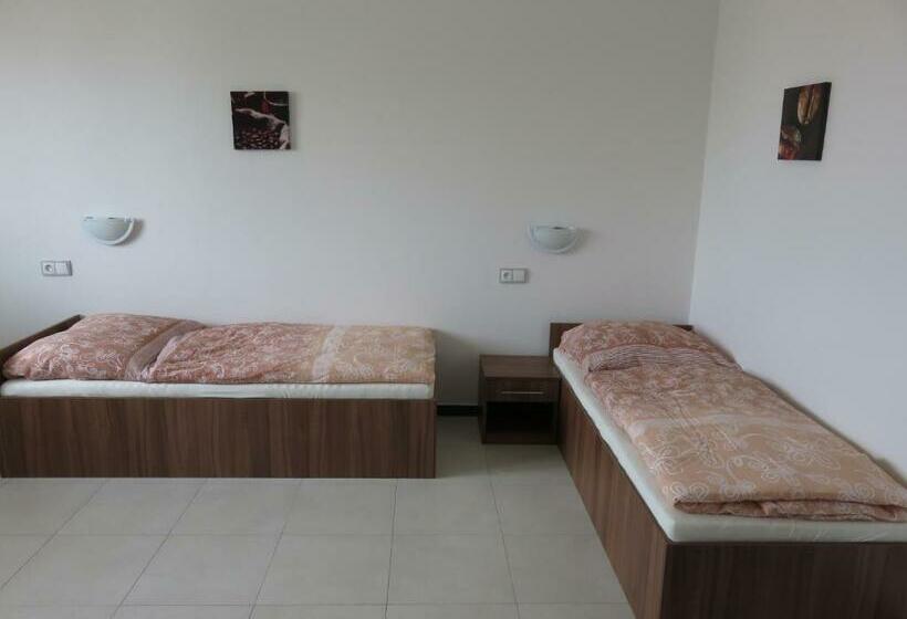 ペンション Penzion U Dulíka