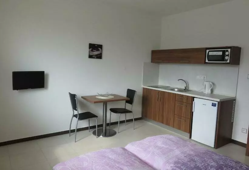 پانسیون Penzion U Dulíka