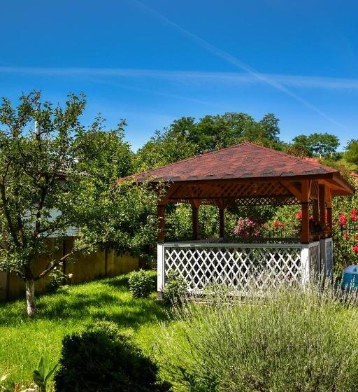 Pensiunea Clasic Hunedoara