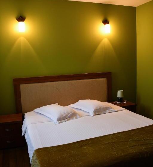 Pensiunea Clasic Hunedoara