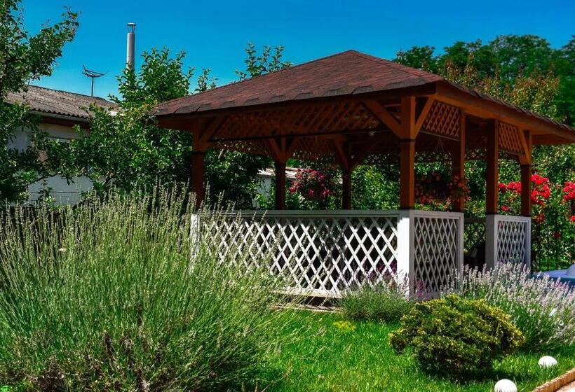 Pensiunea Clasic Hunedoara